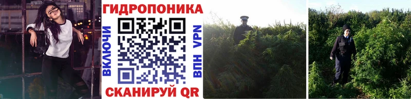 Бошки Шишки Bruce Banner  где купить наркотик  Новый Оскол 